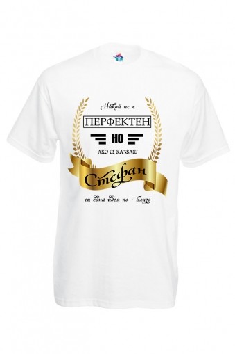 Мъжка тениска за Стефановден Никой не е перфектен освен Стефан